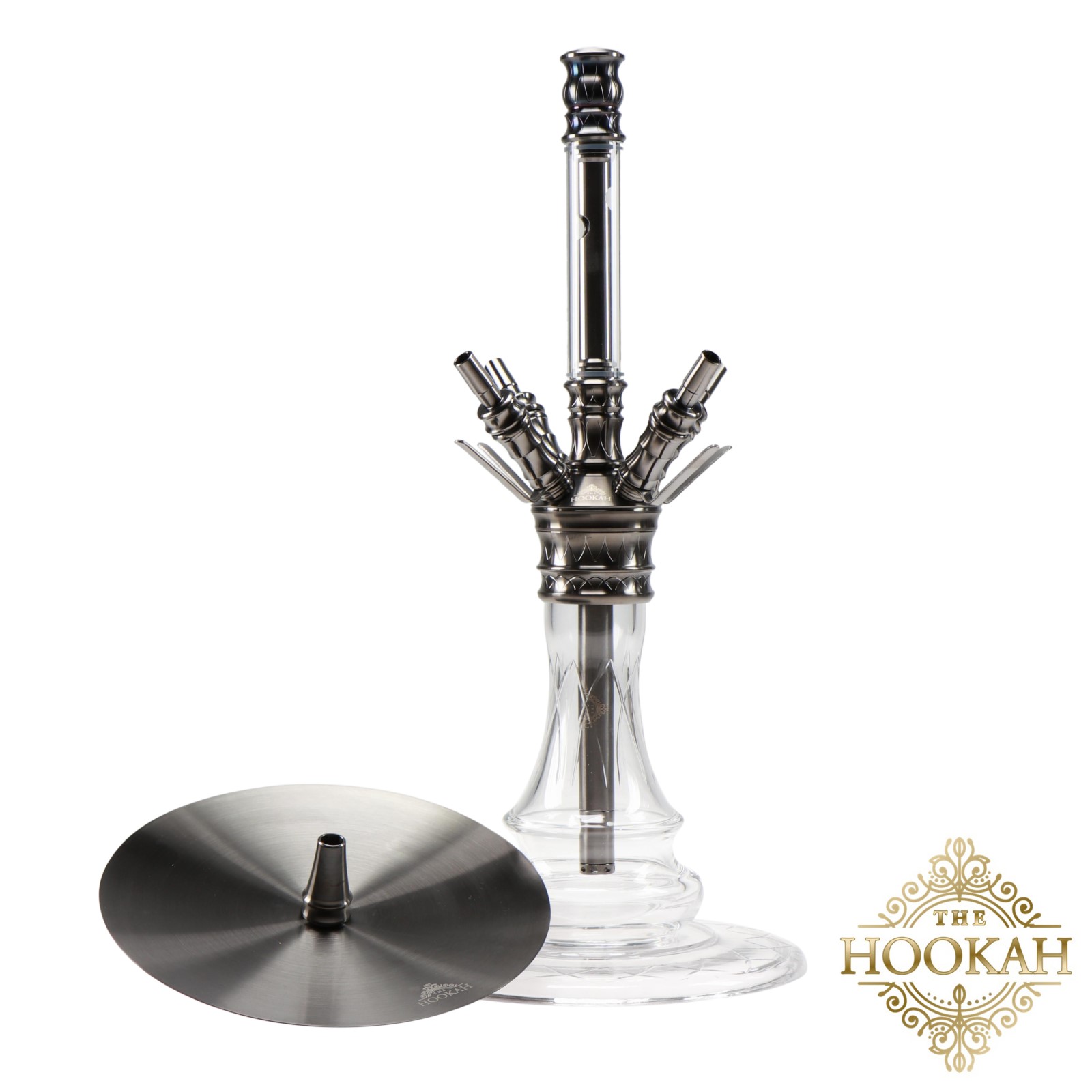 Medusa Black Medusa Black