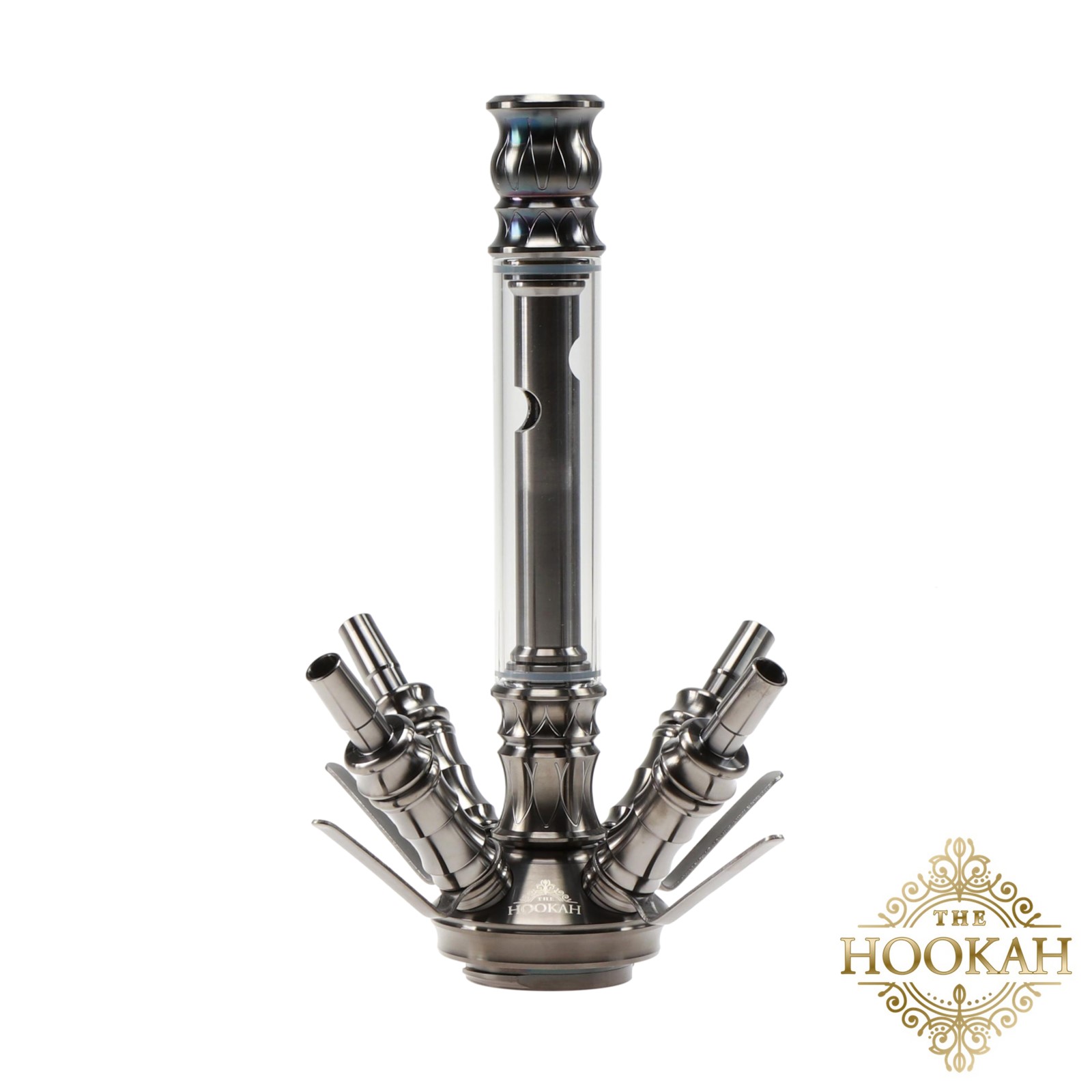 Medusa Black Medusa Black