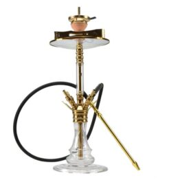 medusagold1-1-600x600 medusagold1-1-600x600