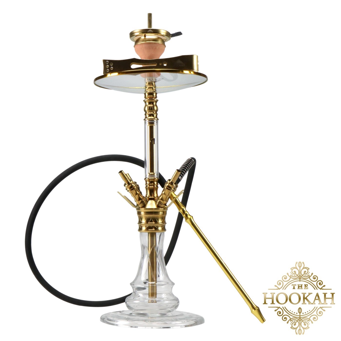 medusagold1-1 Medusa GOLD