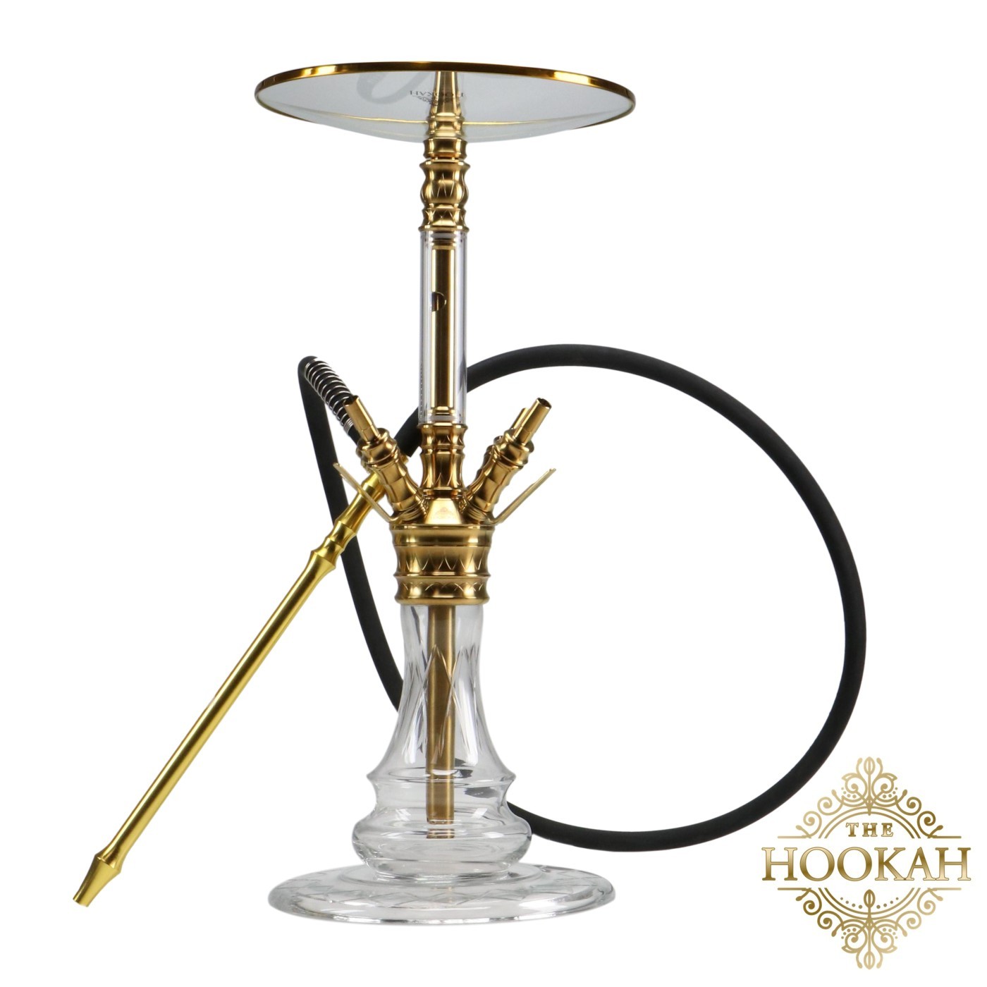 medusagold2-1 Medusa GOLD