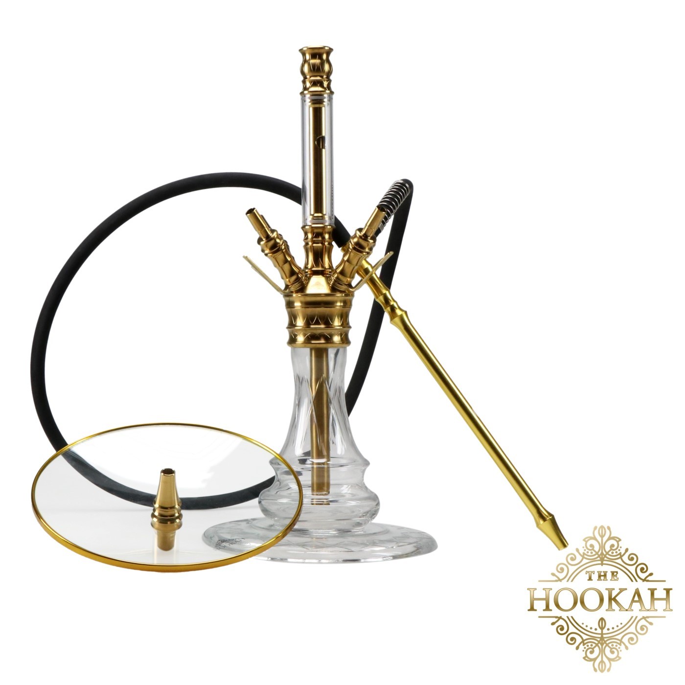 medusagold3-1 Medusa GOLD