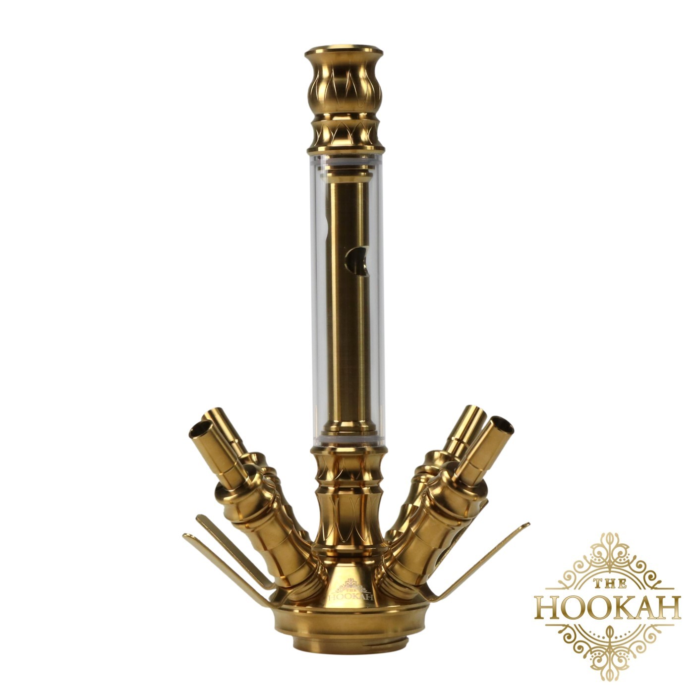 medusagold5-1 Medusa GOLD