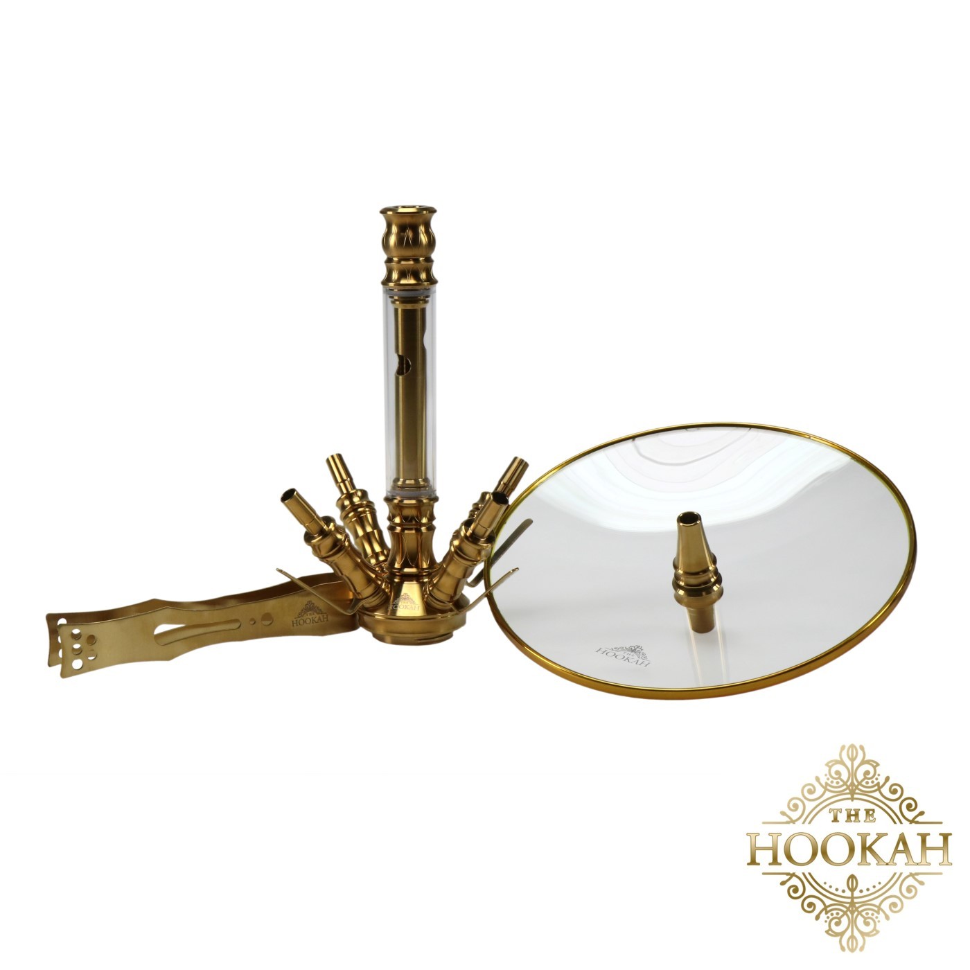 medusagold6-1 Medusa GOLD