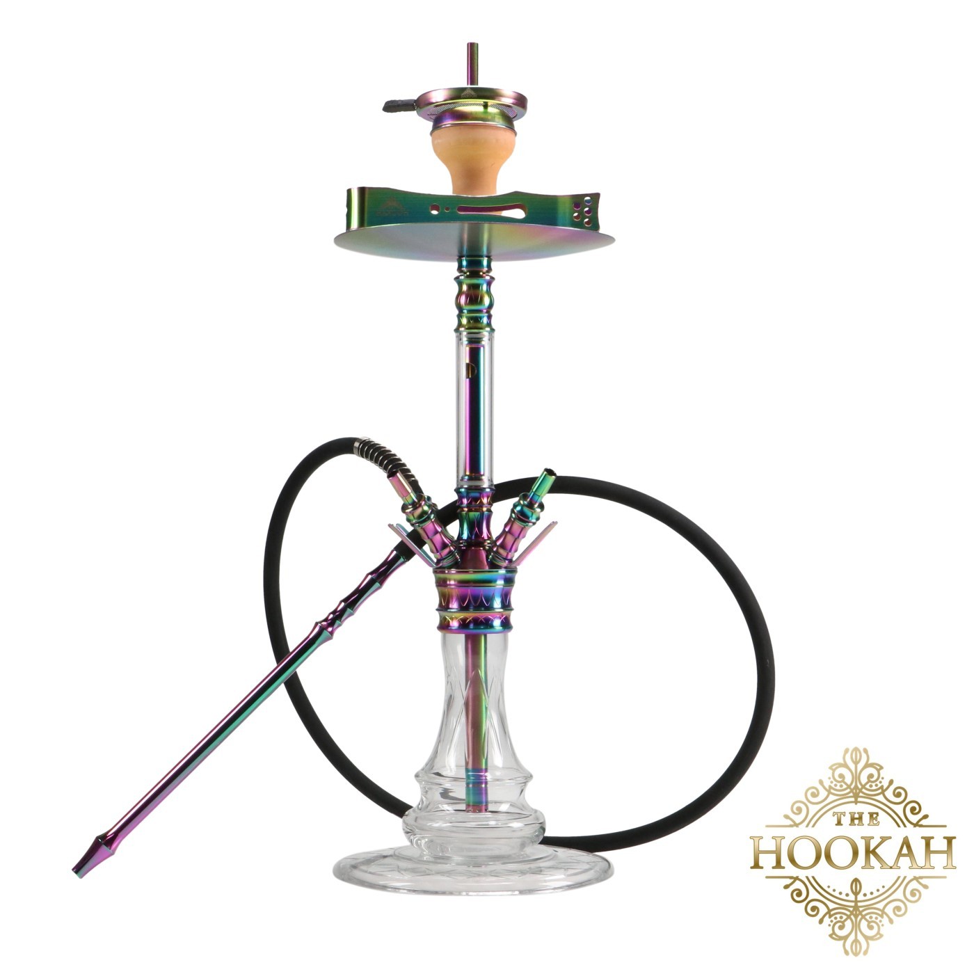 medusarainbow1-1 Medusa RAINBOW