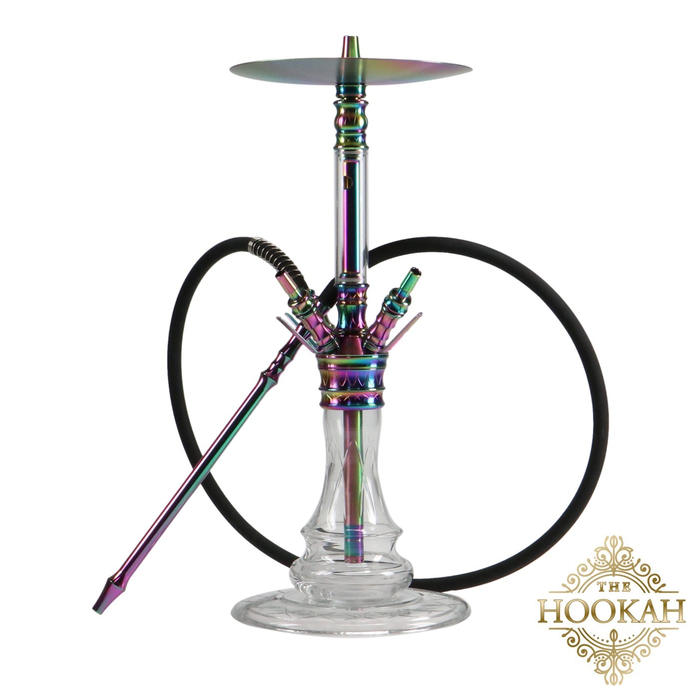 medusarainbow2-1 Medusa RAINBOW