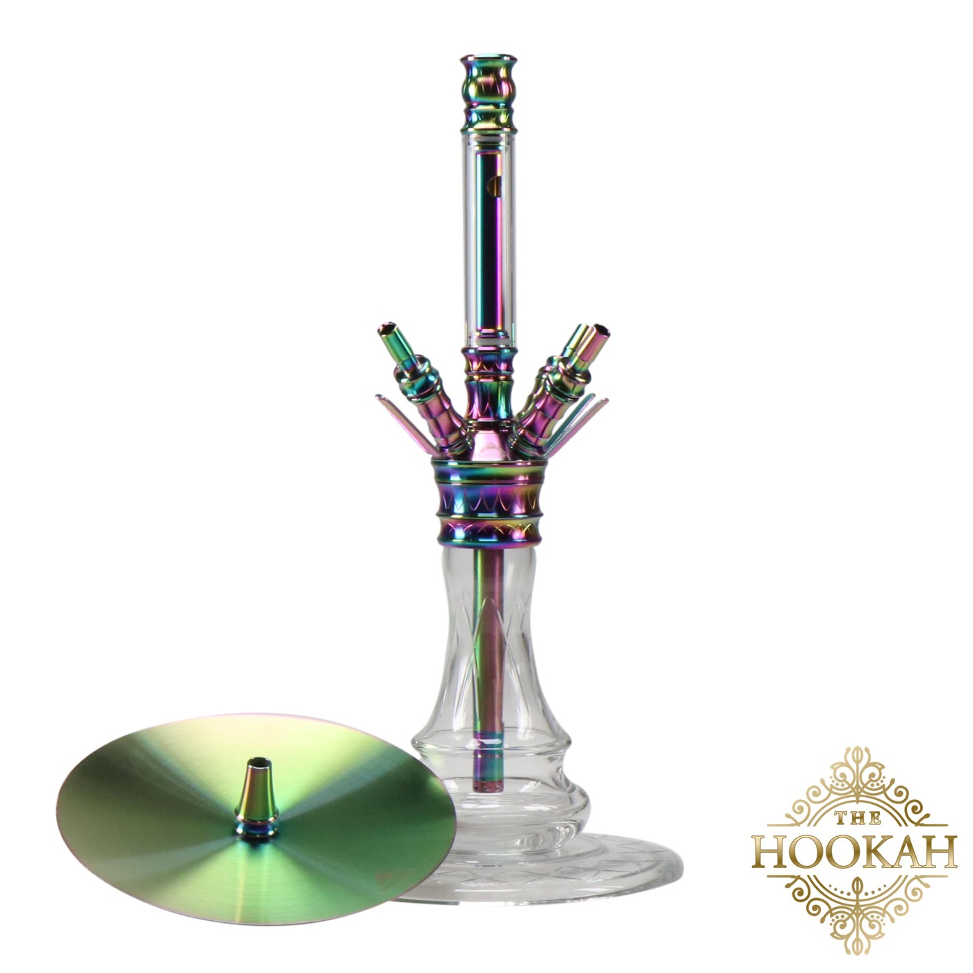 medusarainbow3-1 Medusa RAINBOW