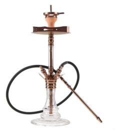 medusaRG1-2-600x600 medusaRG1-2-600x600